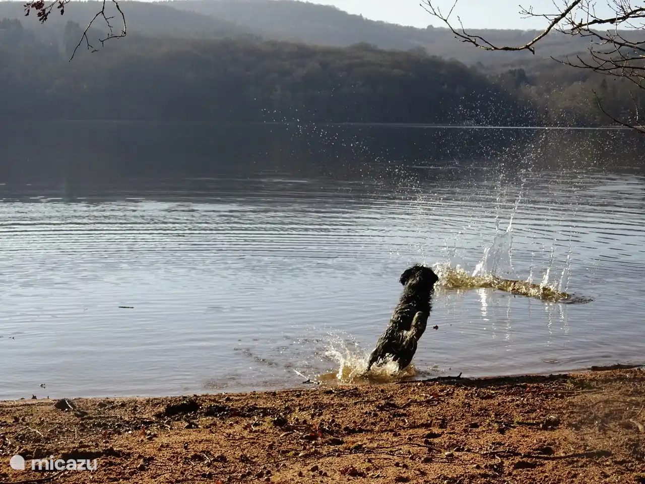 Lac de Chaumecon bij Brassy (5 minuten rijafstand). Prachtig, niet toeristisch meer, rustig en honden natuurlijk welkom!