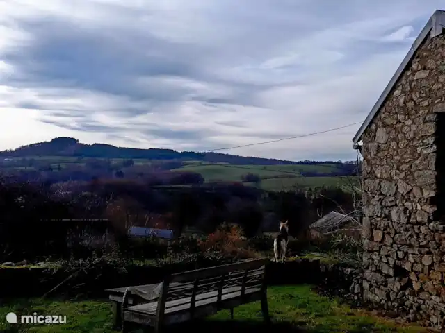 La Maison de la Forêt huren in Frankrijk, Nièvre, Ouroux-en-Morvan - boerderij Buurhond Nout op bezoek
