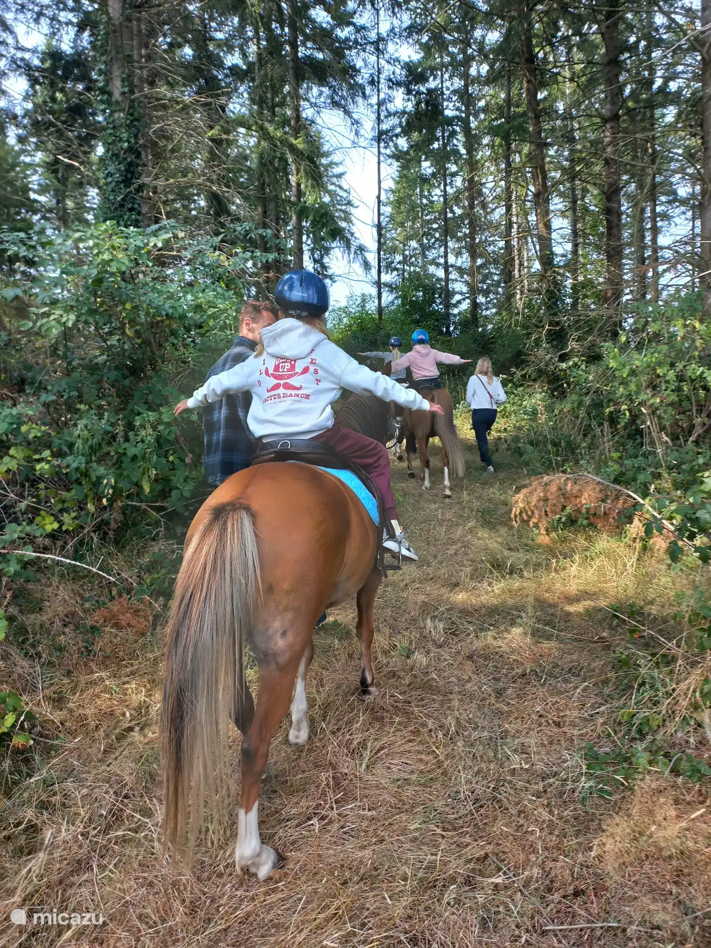 zelfvertrouwen winnen met de pony's