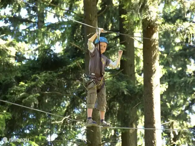 Four à Pain, 6 personnes | France, Allier, Vernusse - gîte / cottage Acro-Sioule où un parcours dans les arbres garantit une journée d'aventure !