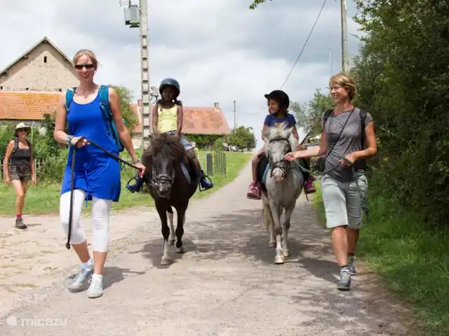 Four à Pain, 6 personnes | France, Allier, Vernusse - gîte / cottage Poney d'équitation