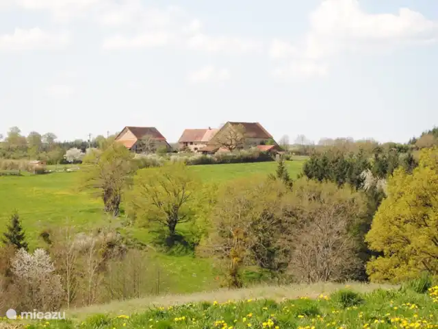 Four à Pain, 6 personnes | France, Allier, Vernusse - gîte / cottage Brénazet, situé au calme dans la campagne vallonnée française