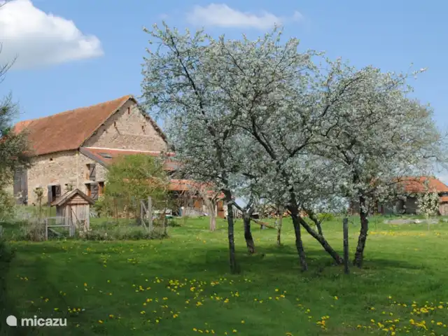 Four à Pain, 6 personnes | France, Allier, Vernusse - gîte / cottage Camper en mai