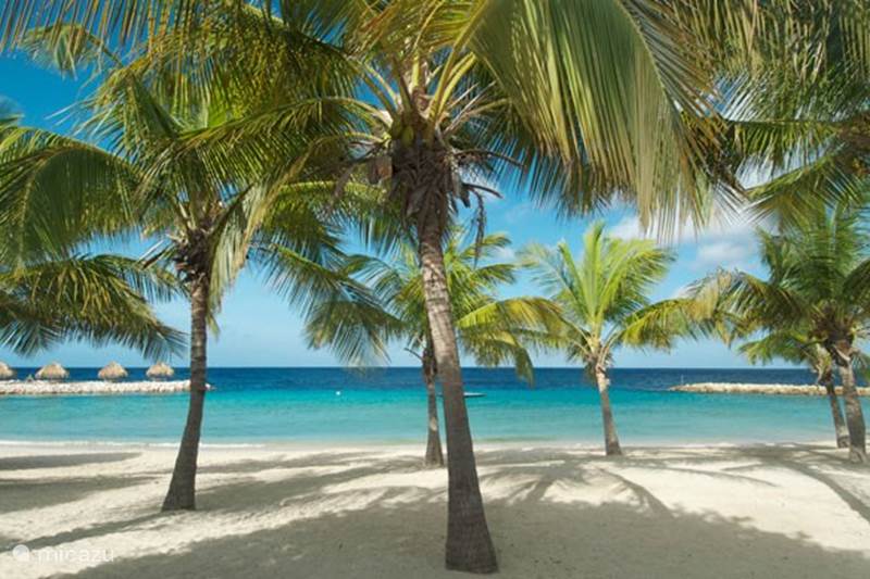 Vakantiehuis Curaçao, Curacao-Midden, Blue Bay Villa Blue Bay Beach Villa - Blauw Blauw