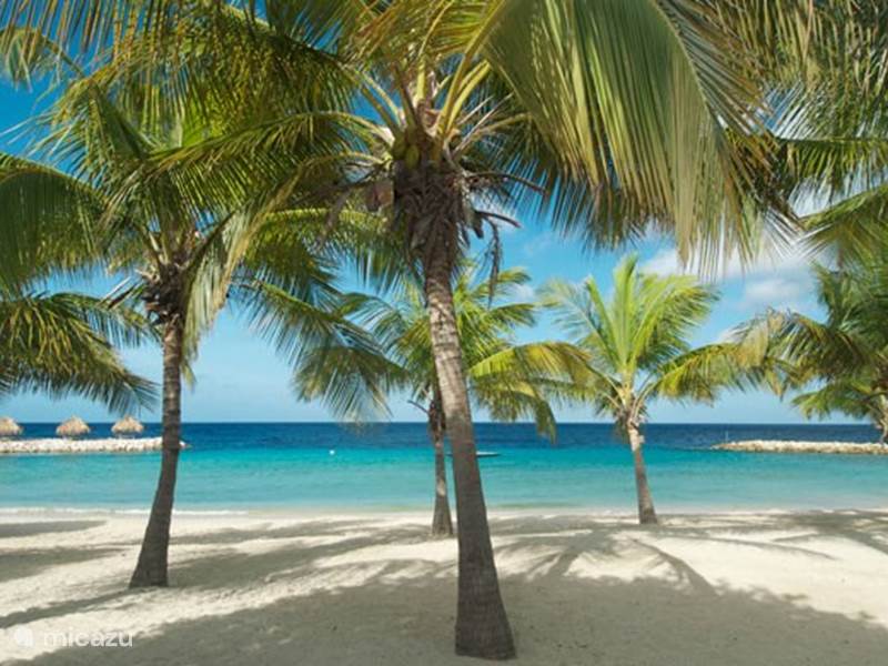 Holiday home in Curaçao, Curacao-Middle, Blue Bay Villa Blue Bay Beach Villa - Blauw Blauw