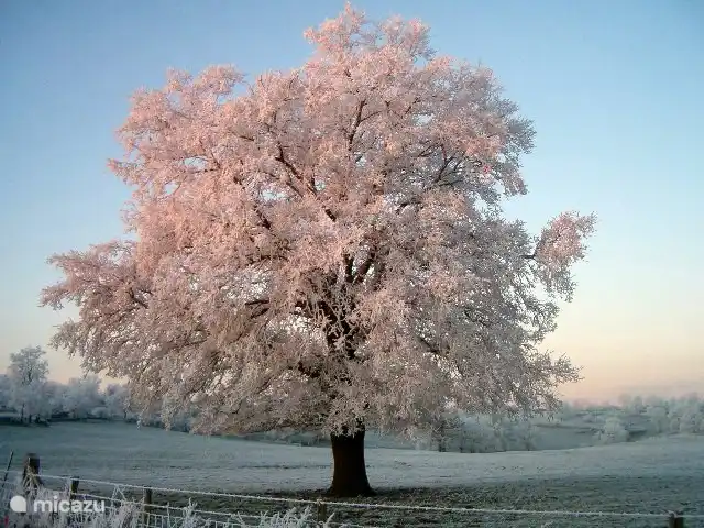 Winter auf Brénazet