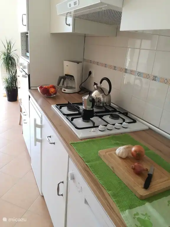 Komplett eingerichtete Küche mit Geschirrspüler, Backofen, Mikrowelle