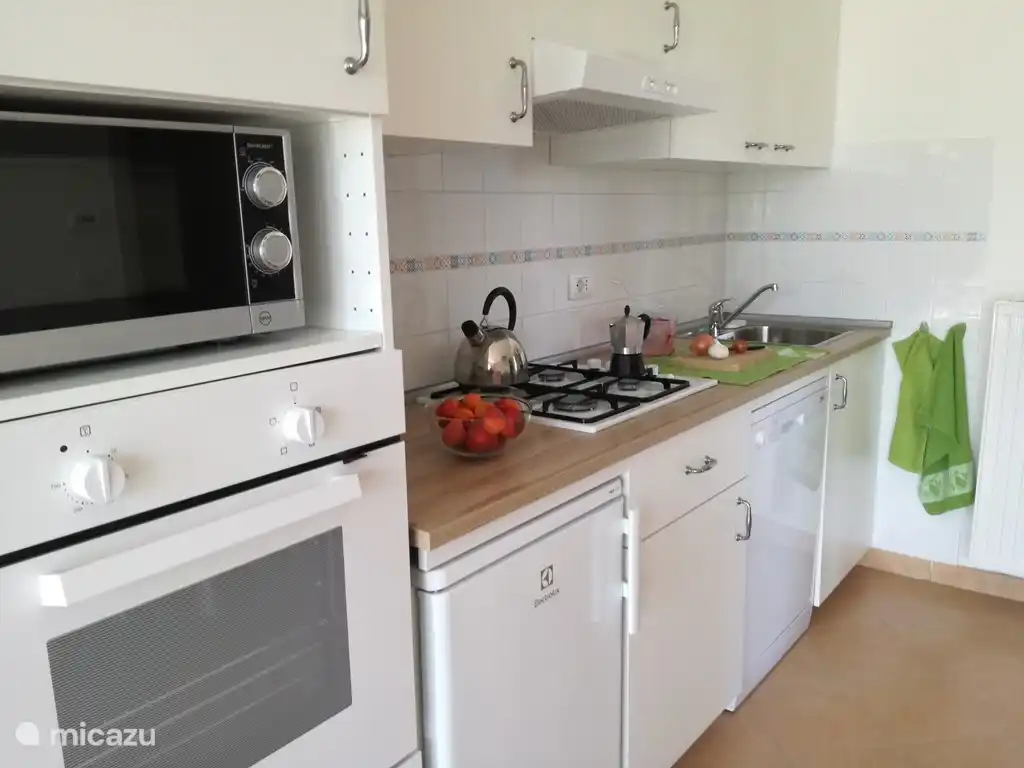 Komplett eingerichtete Küche mit Geschirrspüler, Backofen und Mikrowelle