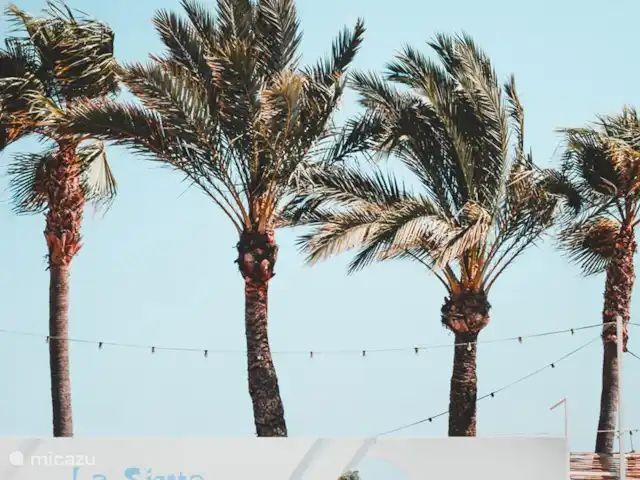 Apartamento Benvinguts en España, Costa Blanca, Jávea - apartamento La Siësta es un acogedor club de playa para comidas y bebidas.