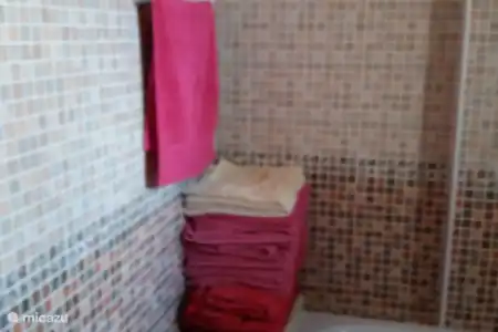 Vakantiehuis Spanje, Costa Blanca, Hondón de las Nieves villa M014 badkamer