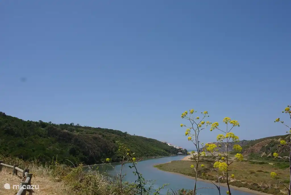 Ländliche Lage in der Nähe des Strandes.