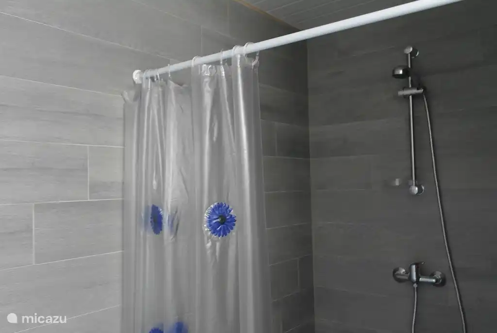 Badezimmer mit Dusche, WC und Waschbecken.