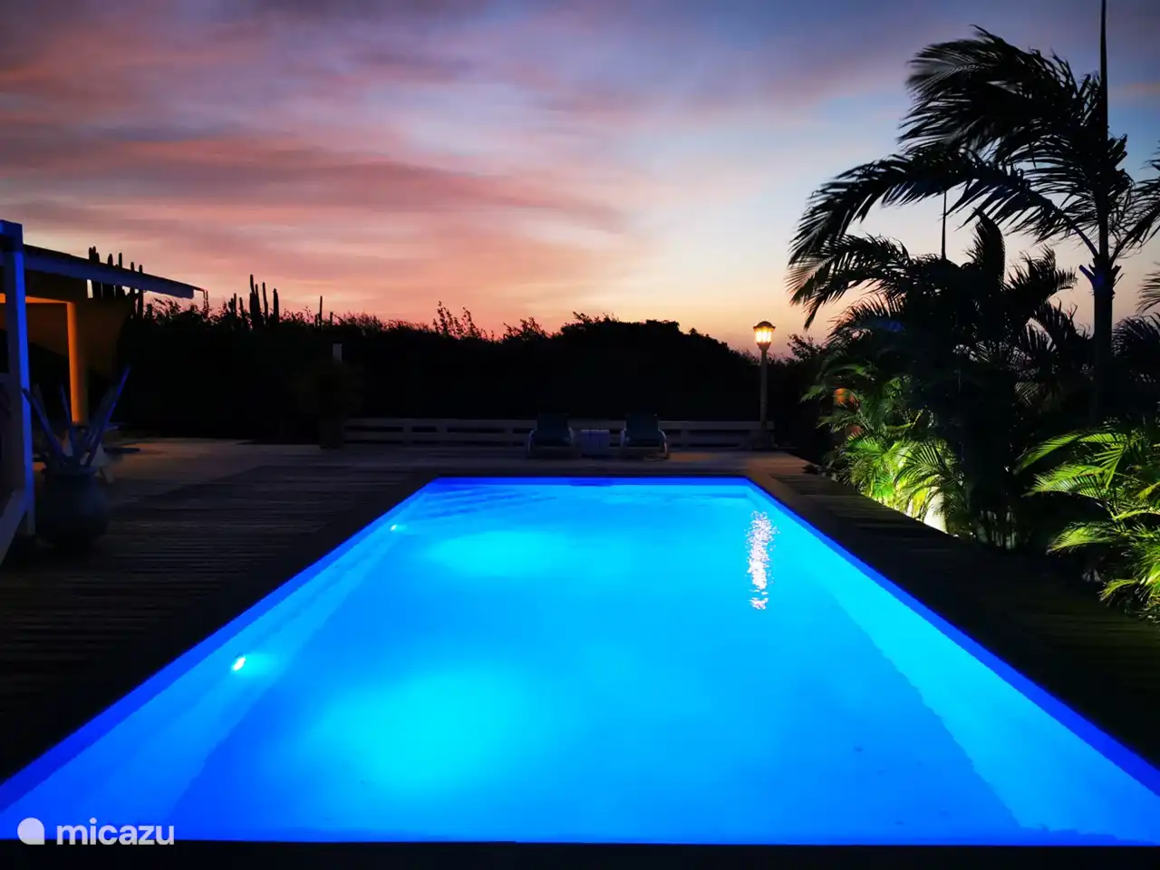 Swimming pool lit up at night