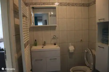 Vakantiehuis Nederland, Gelderland, Putten chalet Roos Badkamer en toilet