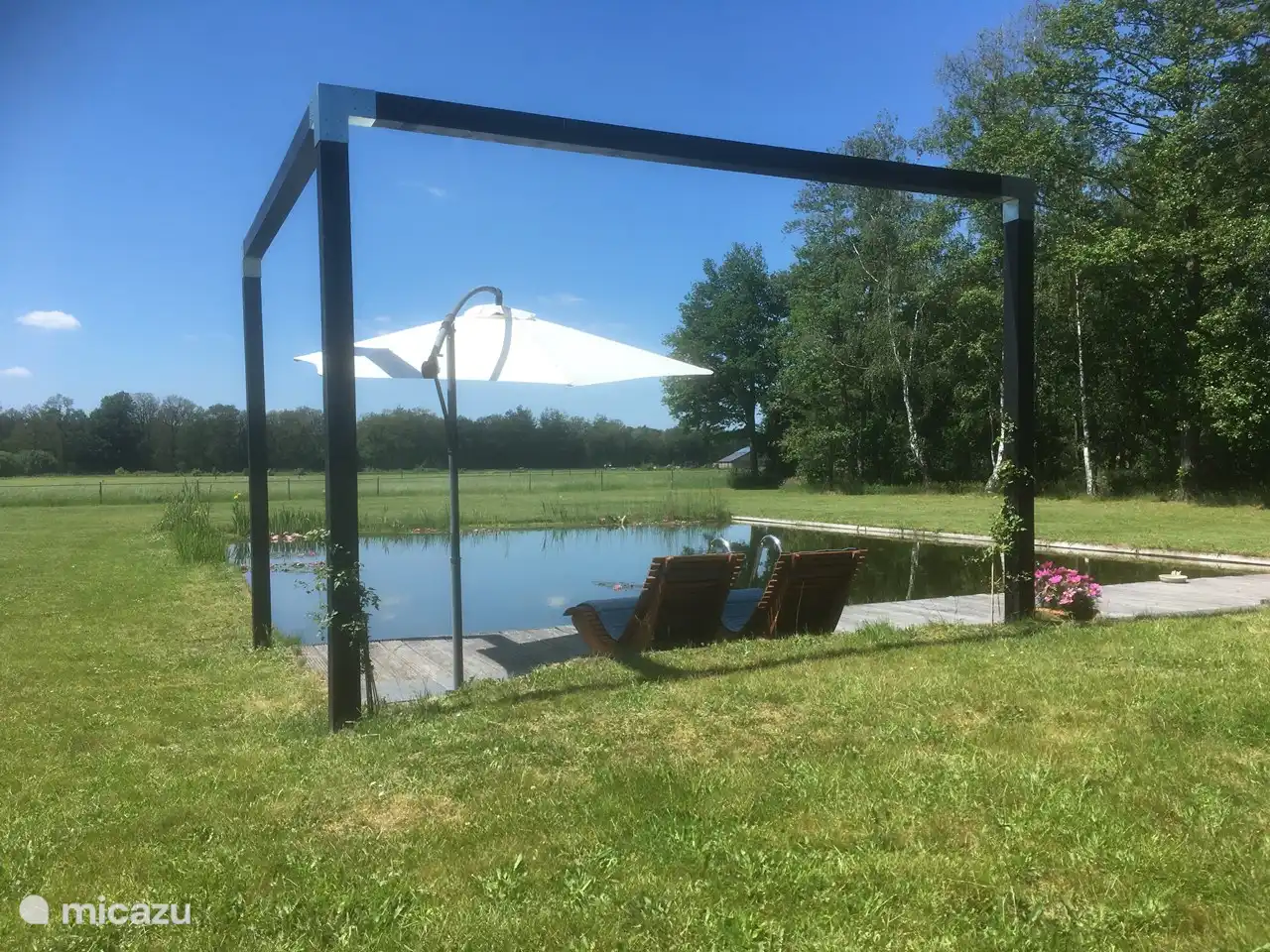 zonnebaden bij de vijver