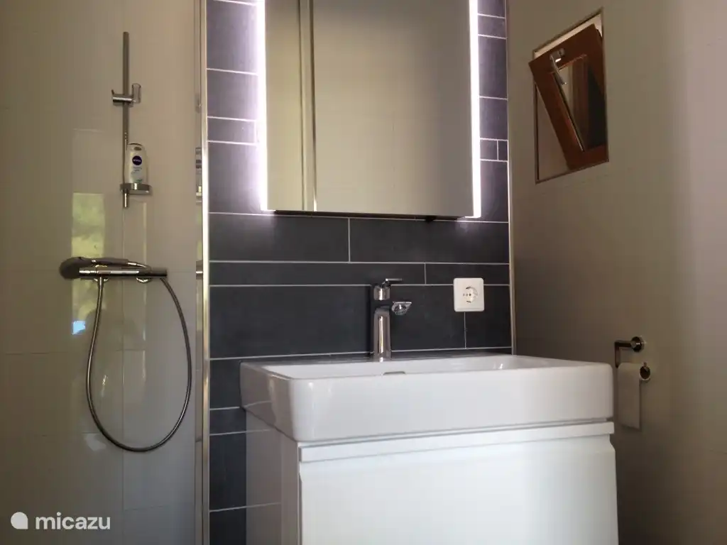 moderne badkamer met inloopdouche en toilet