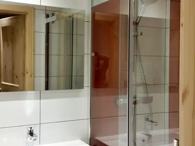 Le Percé Neige, Portes du Soleil | France, Haute-Savoie, La Chapelle-d'Abondance - appartement Salle de bain avec douche