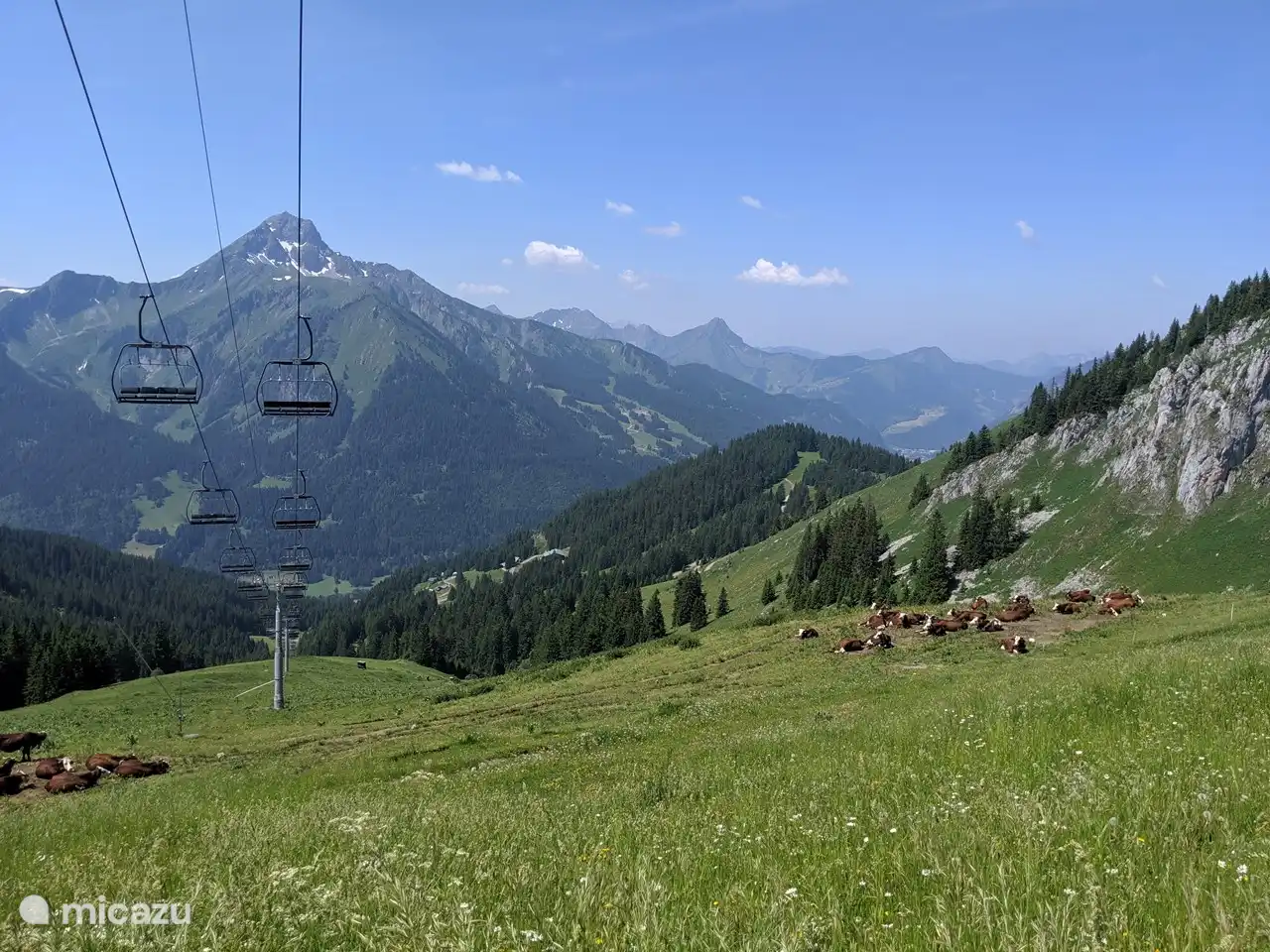 Die Bergwiese bei Braitaz