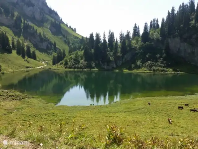 Le Percé Neige, Portes du Soleil | France, Haute-Savoie, La Chapelle-d'Abondance - appartement Lac d'Arvoin