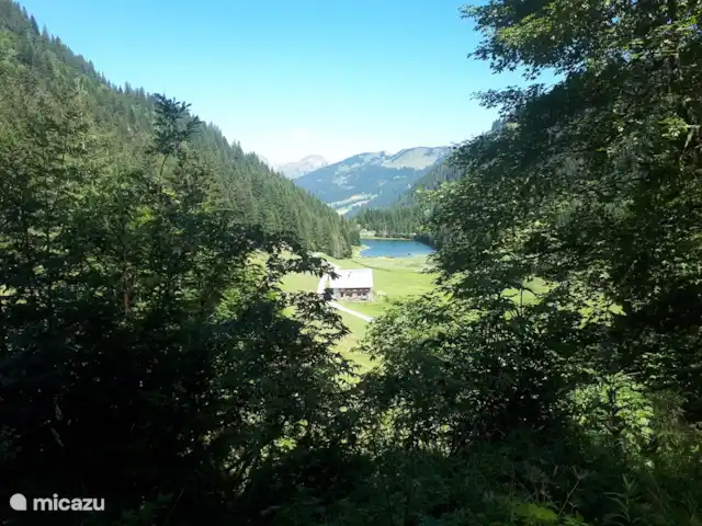 Le Percé Neige, Portes du Soleil | France, Haute-Savoie, La Chapelle-d'Abondance - appartement Pas de Morgens
