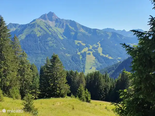 Le Percé Neige, Portes du Soleil | France, Haute-Savoie, La Chapelle-d'Abondance - appartement Le Mont de Grange