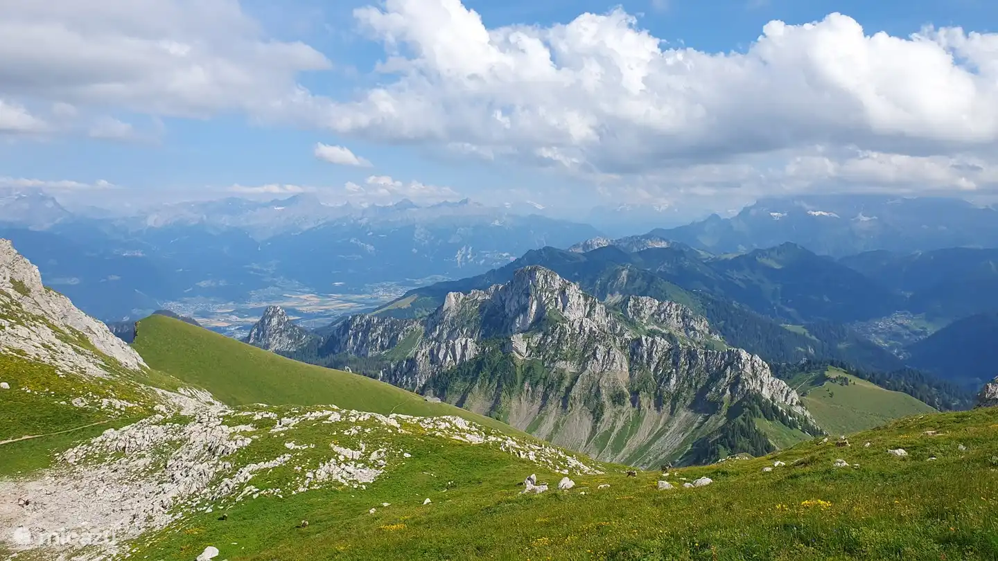 Blick von den Cornettes de Bise (einschließlich Steinböcke)