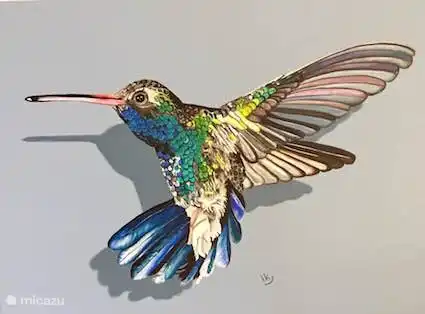 Kolibri (Blenchi)