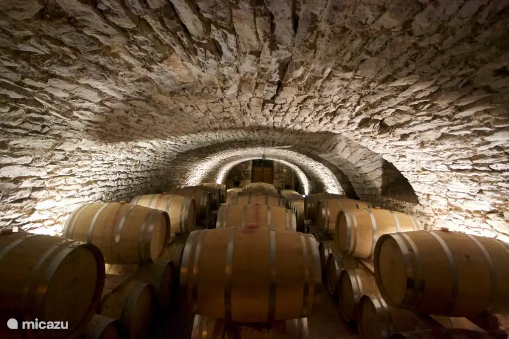 Sigue las rutas del vino,,,