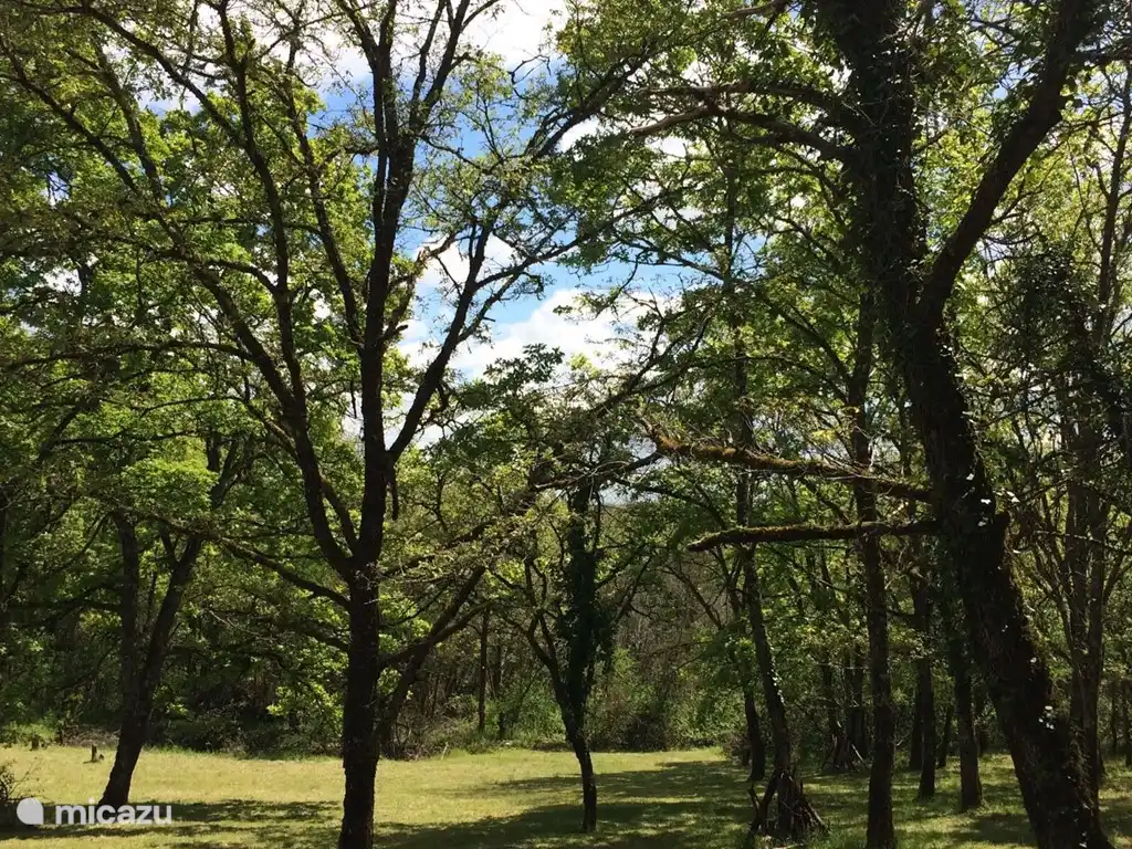 Vista desde la terraza