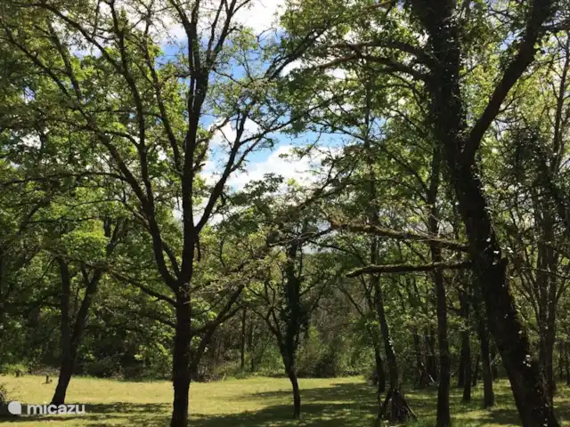 Casa natural en el Lot Dordoña en Francia, Lot, Thédirac - casa vacacional Vista desde la terraza