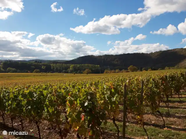 Casa natural en el Lot Dordoña en Francia, Lot, Thédirac - casa vacacional Viñedos