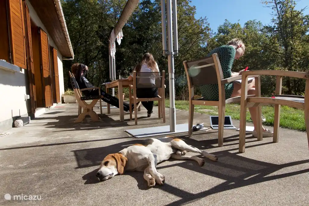 lugar de trabajo afuera