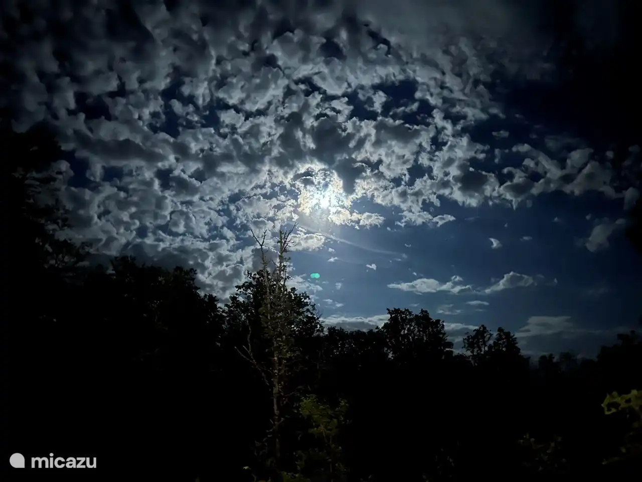 Gran cielo estrellado #huisjesindelot