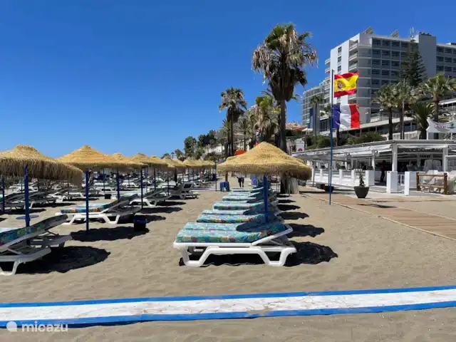Location de Vacances Espagne, Costa del Sol, Benalmádena, appartement - Plage de Benalmadena Les transats vous attendent pour que vous puissiez profiter de la mer et de la plage