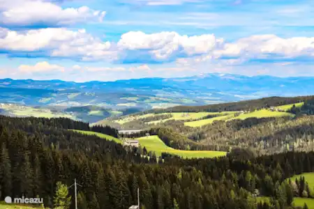 Vacation rental Austria, Carinthia, Preitenegg holiday house Holiday home Hebalm 3