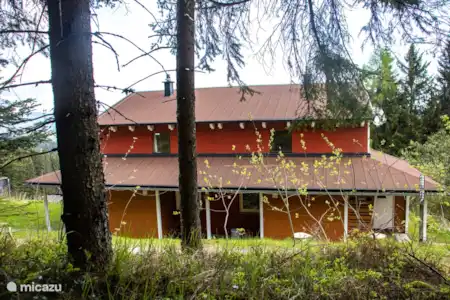 Vacation rental Austria, Carinthia, Preitenegg holiday house Holiday home Hebalm 3