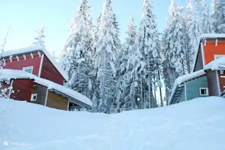 Vacation rental Austria, Carinthia, Preitenegg holiday house Holiday home Hebalm 3 Winter