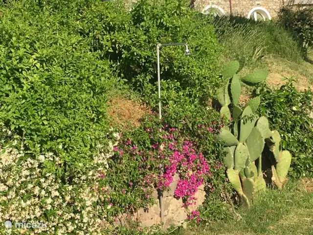 Lerici - Cinque Terre - Toscane No.3 | Italie, Ligurie, Lerici - appartement Douche extérieure dans le jardin commun