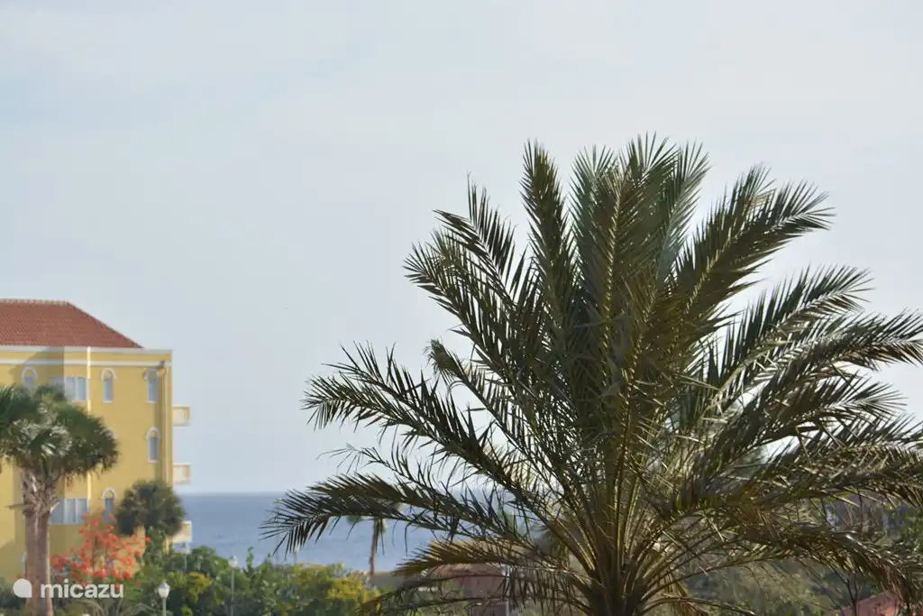 Despite the significant vegetation there is some spots on the porch and ocean view from the living room only!