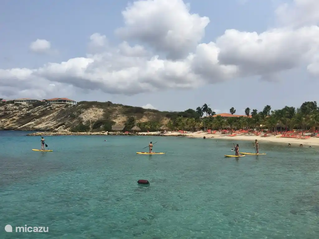 Stand up paddle boards for rent at Blue Bay Beach