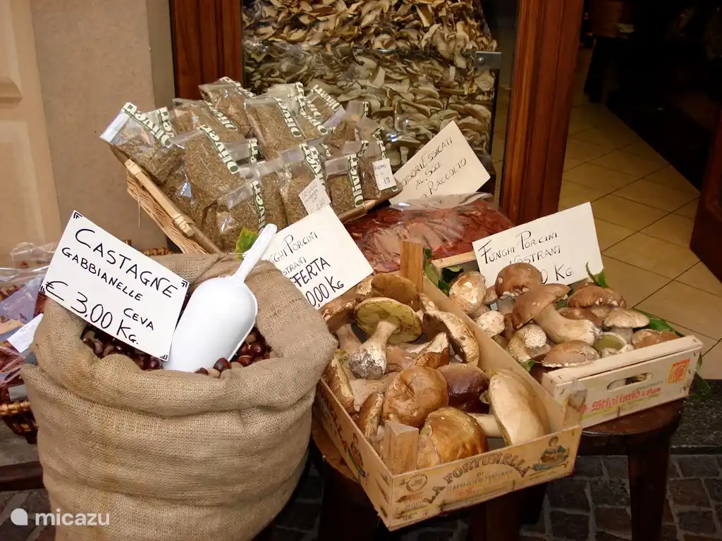 Porcini in Acqui Terme