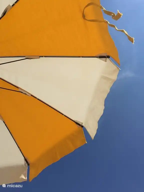 Genießen des Strandes