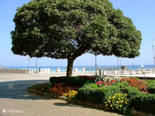 Pian del Gatto | Italie, Ligurie, Pareto - maison de vacances Ligure cellulaire