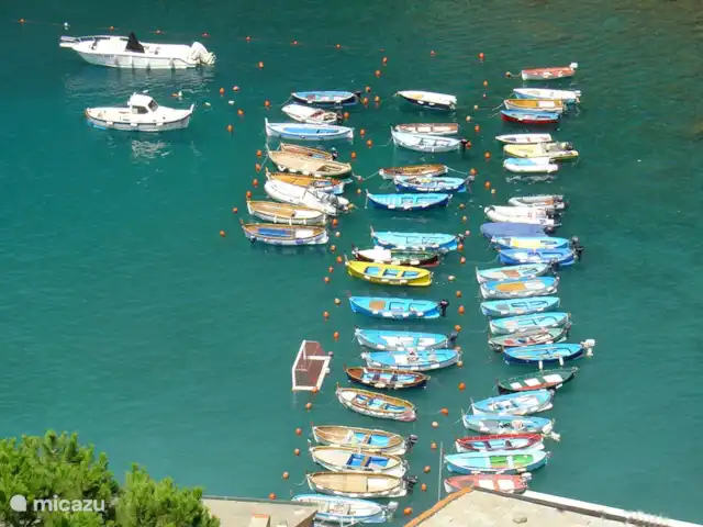 Pian del Gatto | Italie, Ligurie, Pareto - maison de vacances Cinque Terre