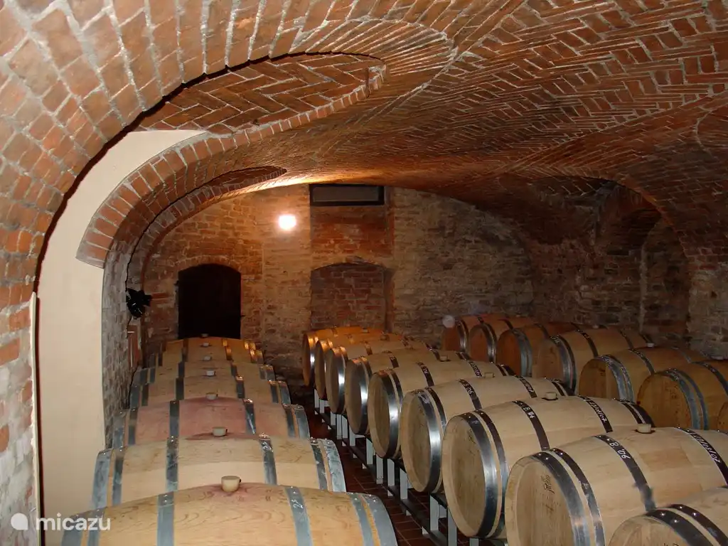 Weinkeller eines unserer Winzer.