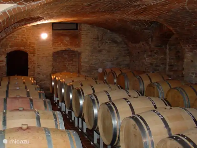 Pian del Gatto | Italie, Ligurie, Pareto - maison de vacances Cave à vin d'un de nos vignerons.