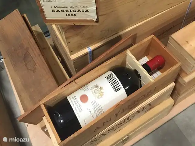Pian del Gatto | Italie, Ligurie, Pareto - maison de vacances Commerce de vin à Alba