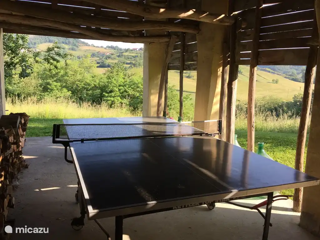 Der Tischtennis hinter dem Haus.