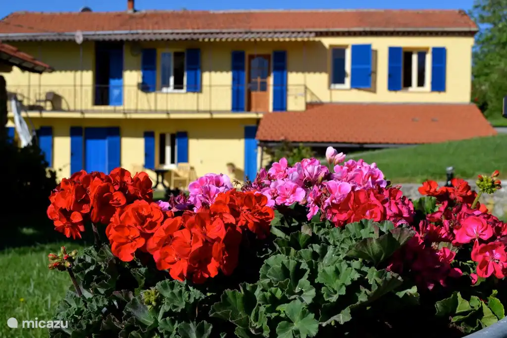 Pian del Gatto. Um das Haus herum sind die Blumenkästen  mit fröhlich blühenden Pflanzen gefüllt.