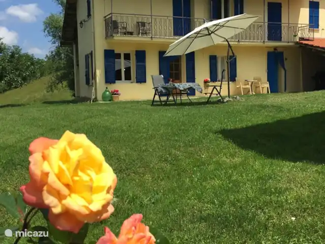 Pian del Gatto | Italie, Ligurie, Pareto - maison de vacances Pian del Gatto. Venez en faire l'expérience par vous-même.